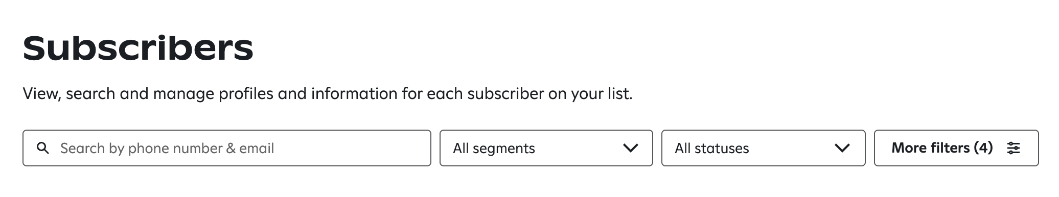 The search bar and filters at the top of the Subscribers page.