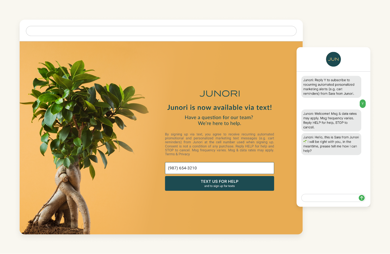Customer view of a LiveSMS landing page on a desktop device.