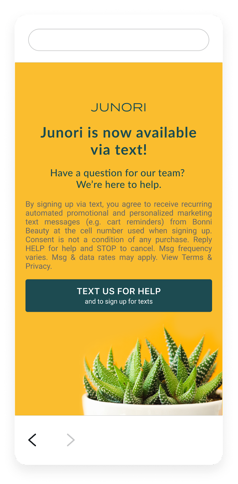 Customer view of button on LiveSMS landing page to get assistance.