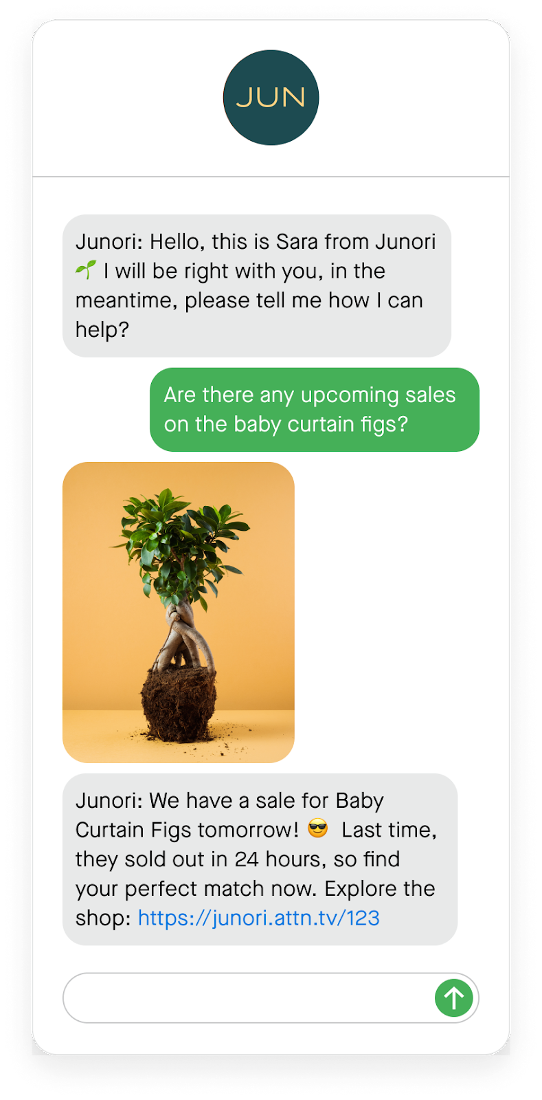 Customer view of chat with a Concierge agent in messaging app.