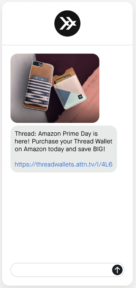 Example Prime Day campaign message with image.