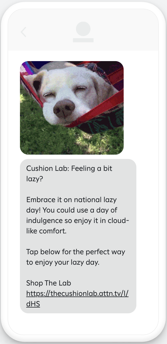 Example lazy day campaign message with image.