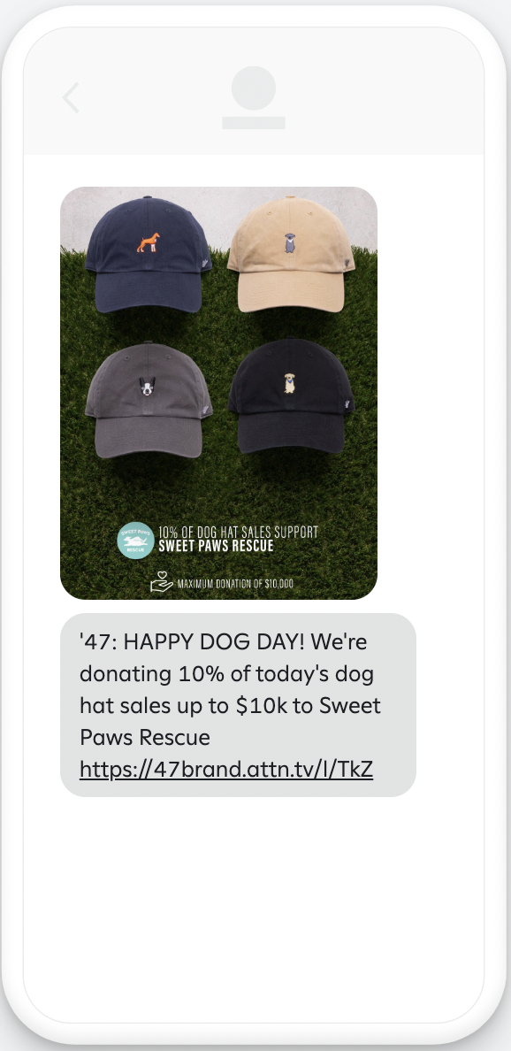 Example dog day message with image and offer.