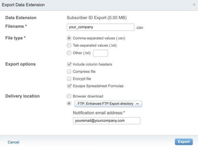 Entering your company name as the CSV file name and your email address as the Notification email address.