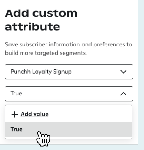 Choosing value and selecting true in the Add custom attribute panel.