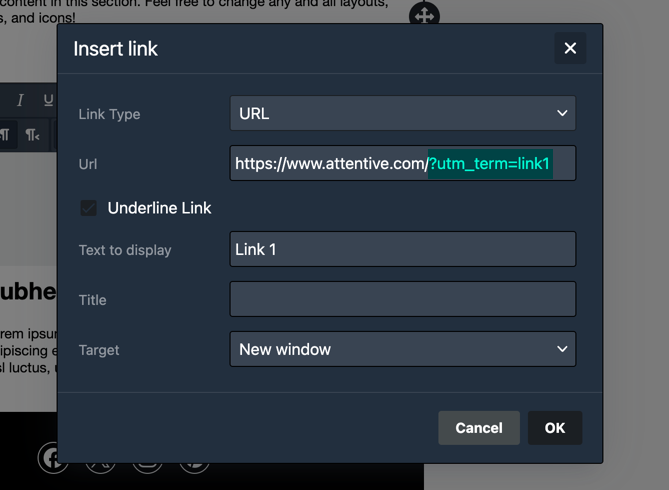 The ‘Insert link’ window for a link in an email message with a manually added link tracking parameter added to the URL and highlighted in the ‘Url’ field.