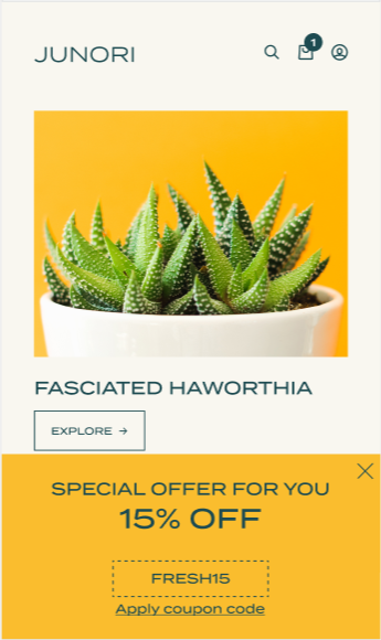 A mobile website with a partial screen targeted offer, which announces a 15% offer, an offer code, and a link to apply the offer code.