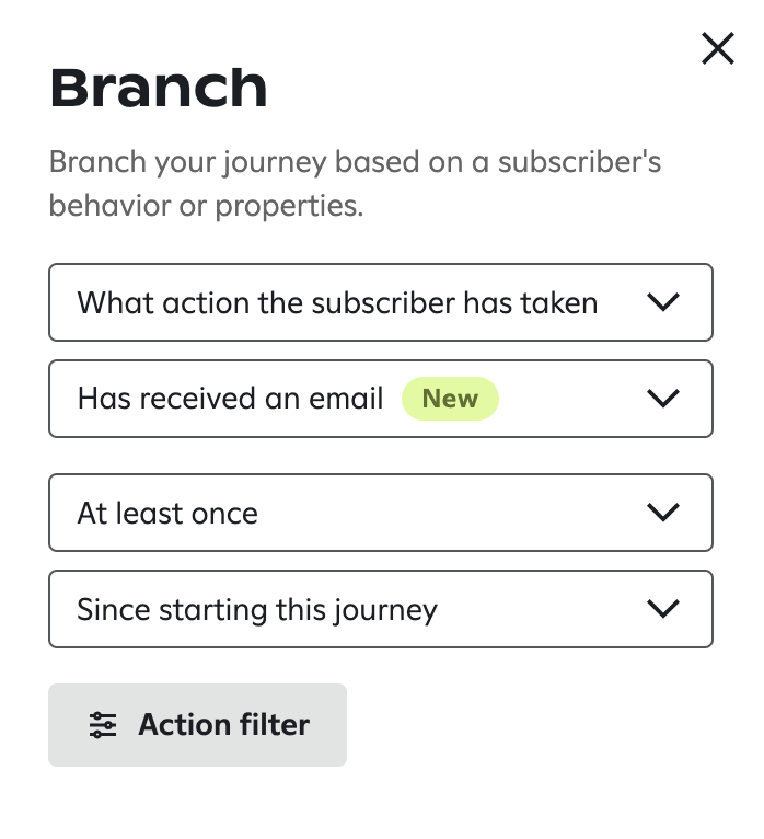 The 'Branch' settings panel configured to branch the journey based on the condition 'Has received an email,' labeled with a 'New' badge, occurring 'At least once' and 'Since starting this journey'; an 'Action filter' button is displayed below.