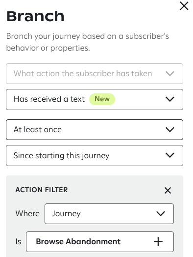 The 'Branch' settings panel is configured to split the journey based on the condition 'Has received a text,' labeled with a 'New' badge, occurring 'At least once' and 'Since starting this journey,' with an 'Action filter' set to 'Journey is Browse Abandonment.'