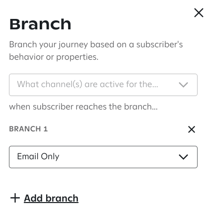 The 'Branch' settings panel configured to split the journey based on the condition 'What channel(s) are active for the subscriber,' with one branch labeled 'Email Only'; an option to '+ Add branch' is displayed below.