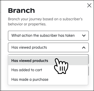 j-branch-action-viewed-products.png