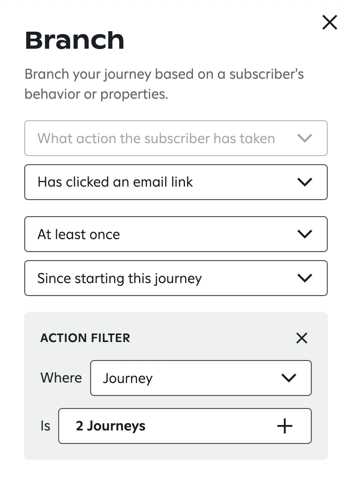 Adding an action filter to a branch.