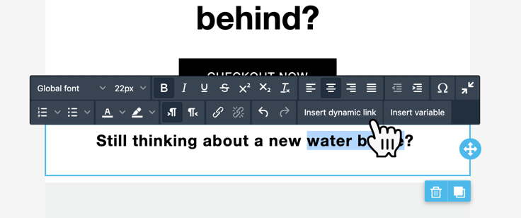 Clicking Insert dynamic link in email editor
